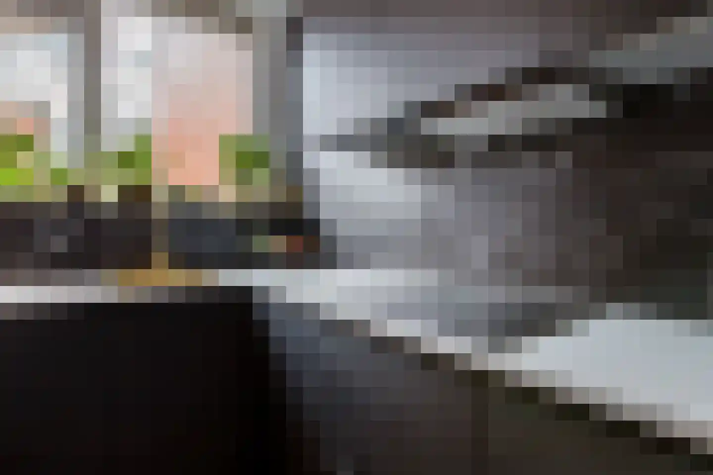 Begoniapad 9 Gouda thumbnail 16