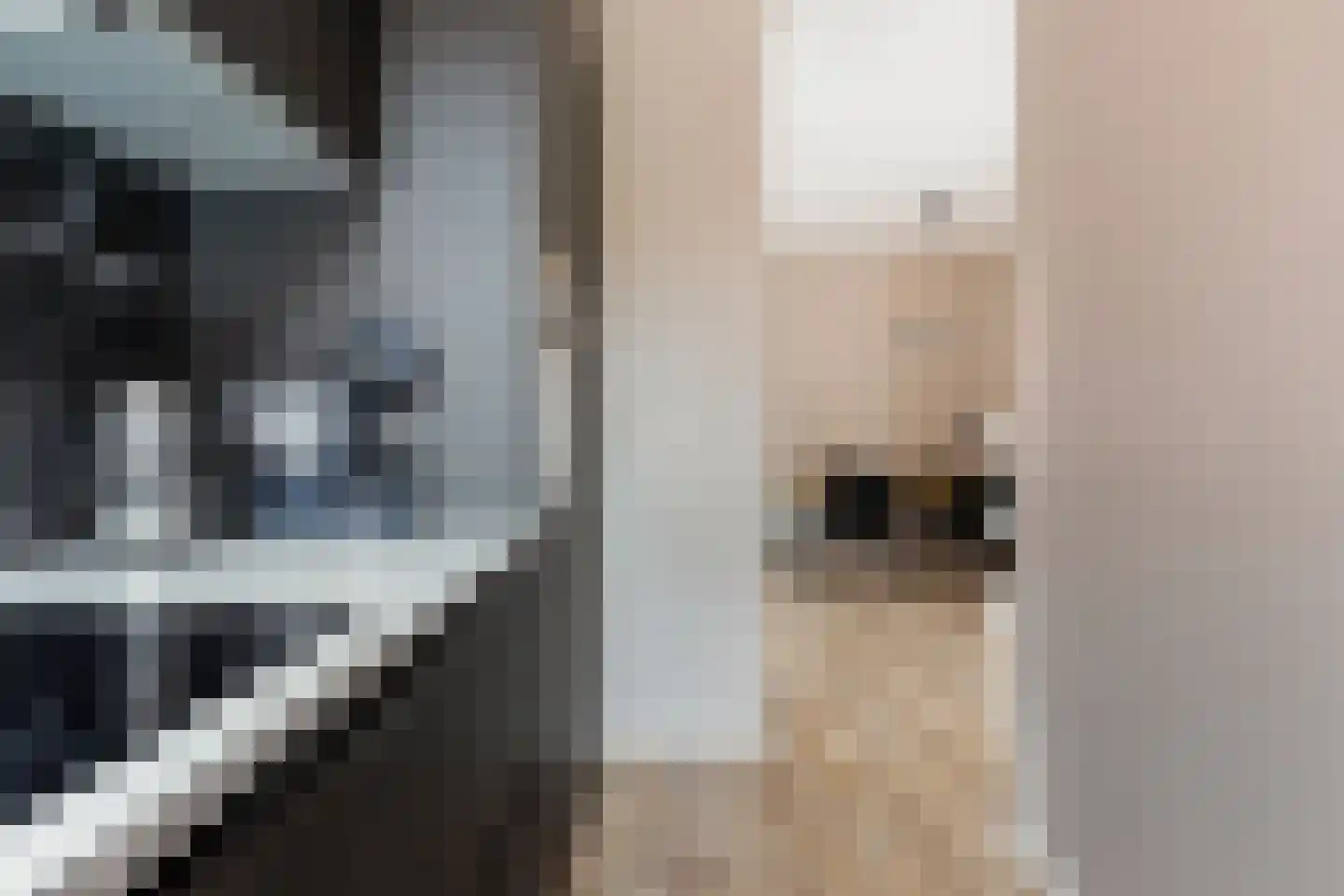 Begoniapad 9 Gouda thumbnail 17