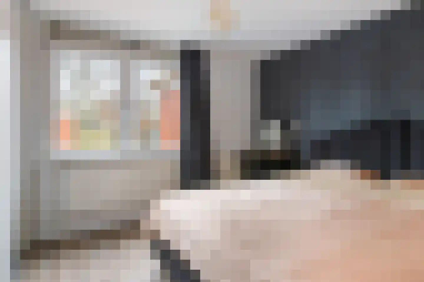 Begoniapad 9 Gouda thumbnail 19