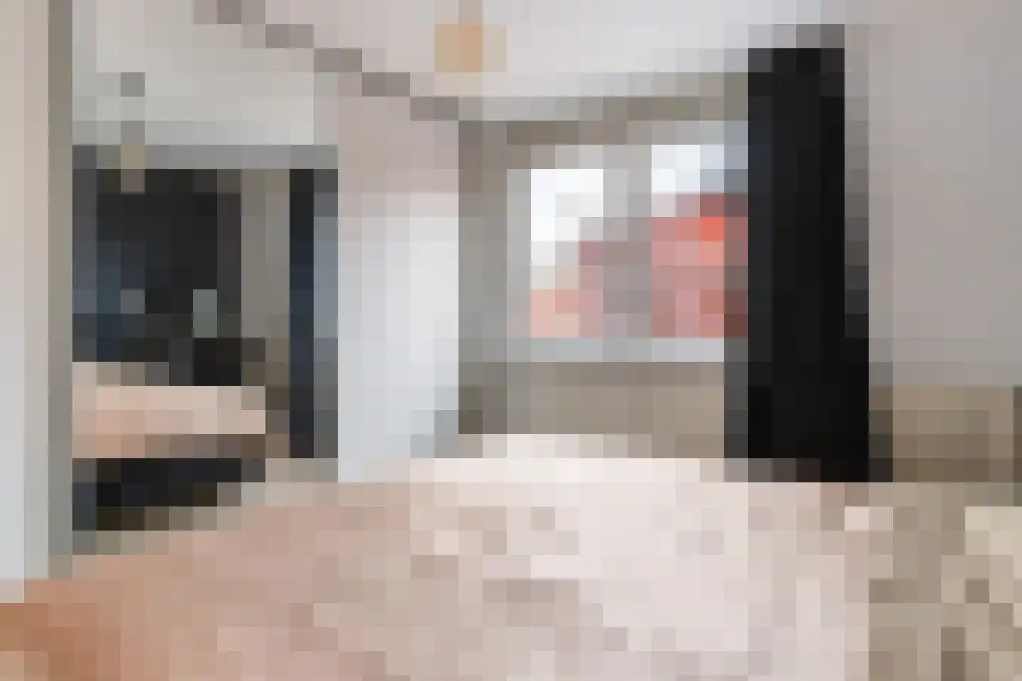 Begoniapad 9 Gouda thumbnail 20