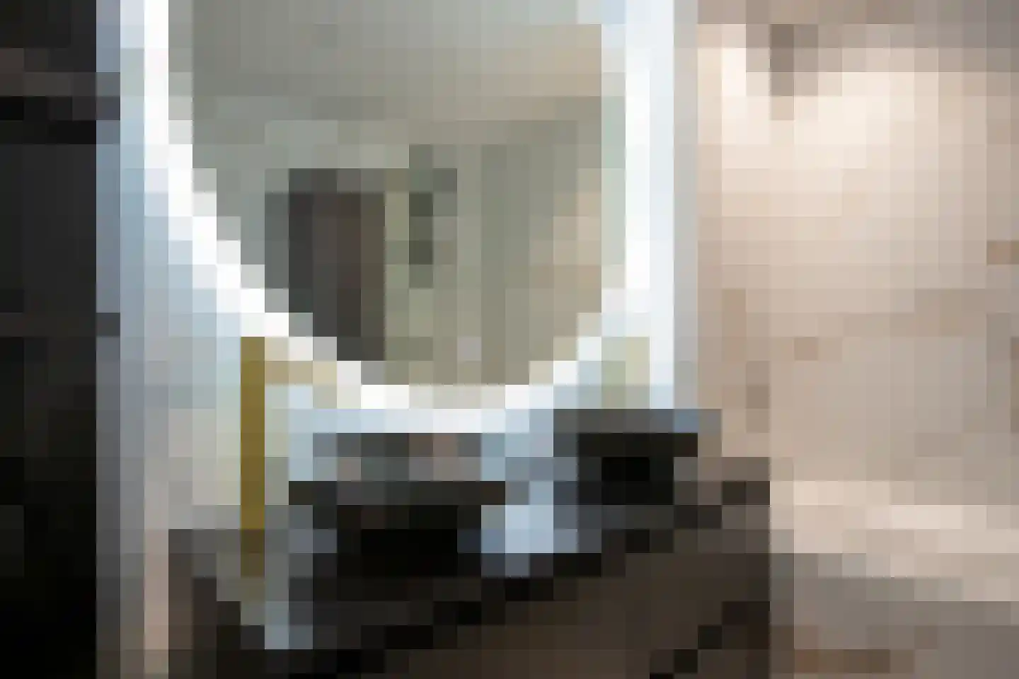 Begoniapad 9 Gouda thumbnail 33
