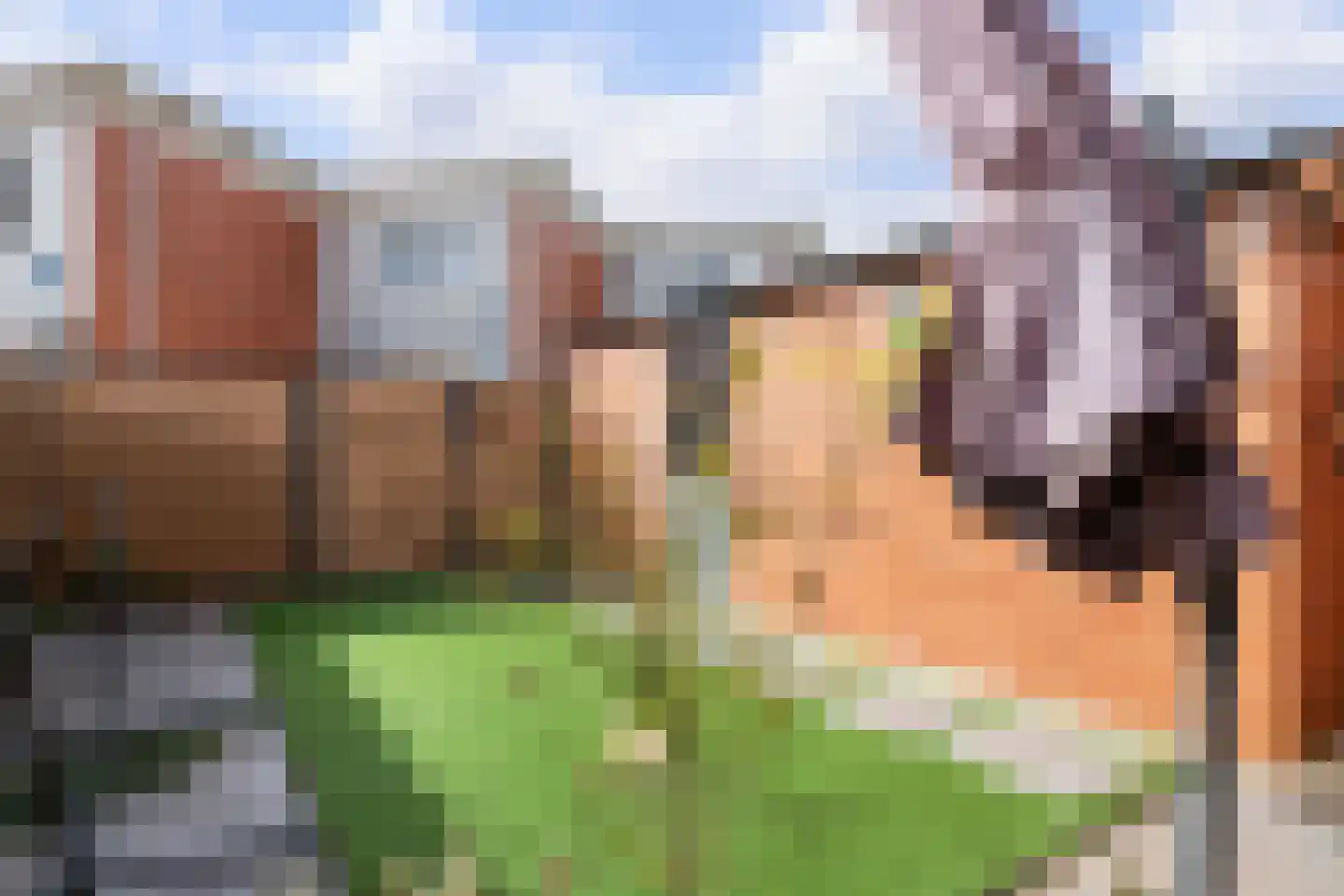 Begoniapad 9 Gouda thumbnail 36
