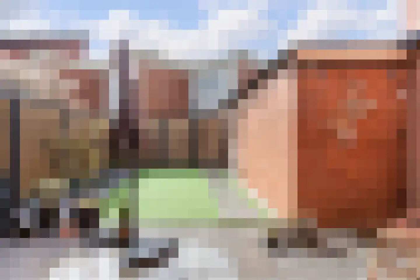 Begoniapad 9 Gouda thumbnail 37