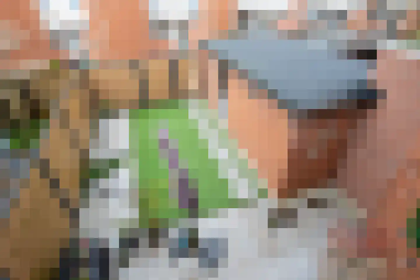 Begoniapad 9 Gouda thumbnail 38