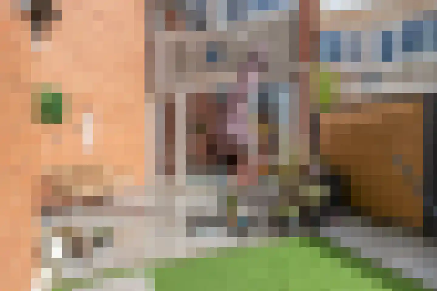 Begoniapad 9 Gouda thumbnail 39