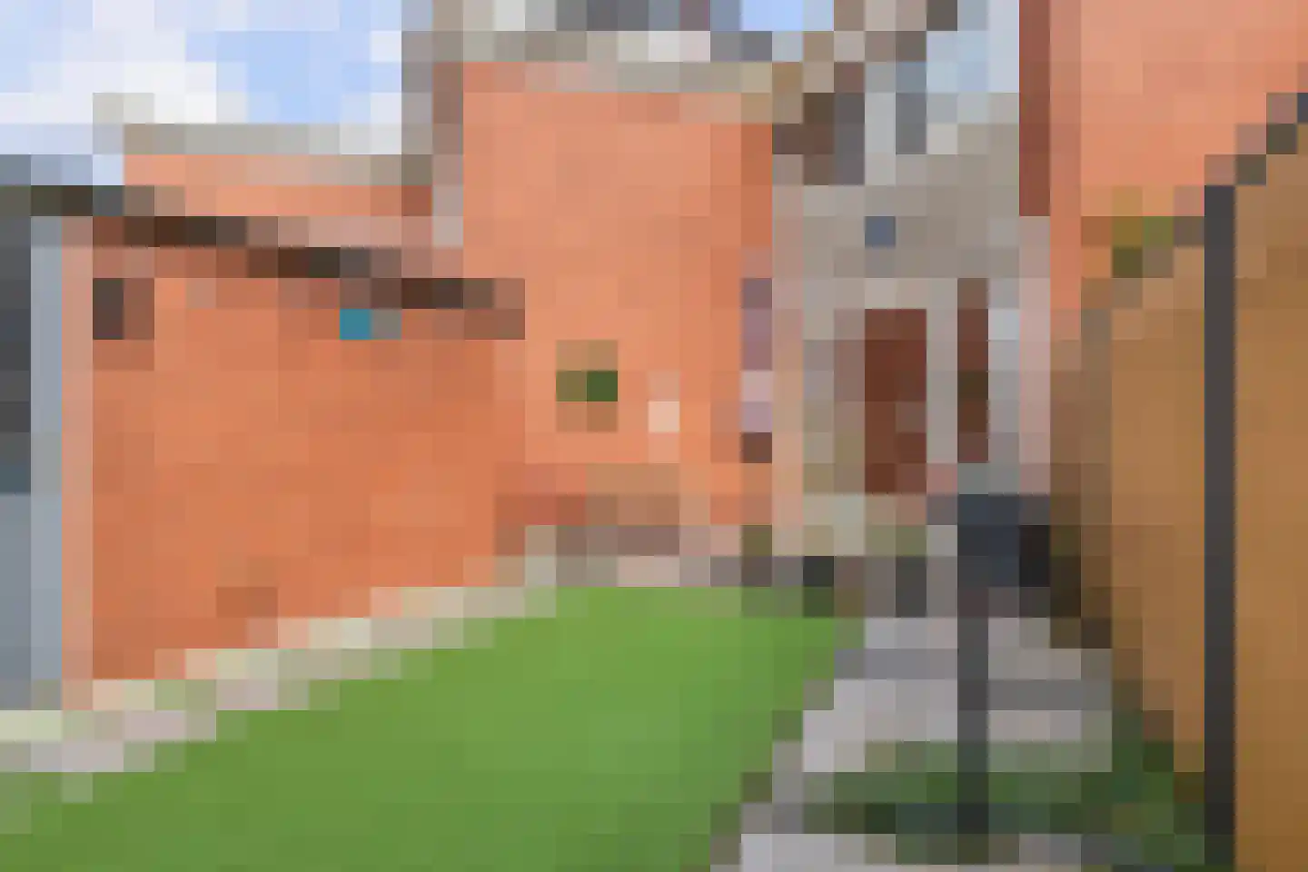 Begoniapad 9 Gouda thumbnail 4