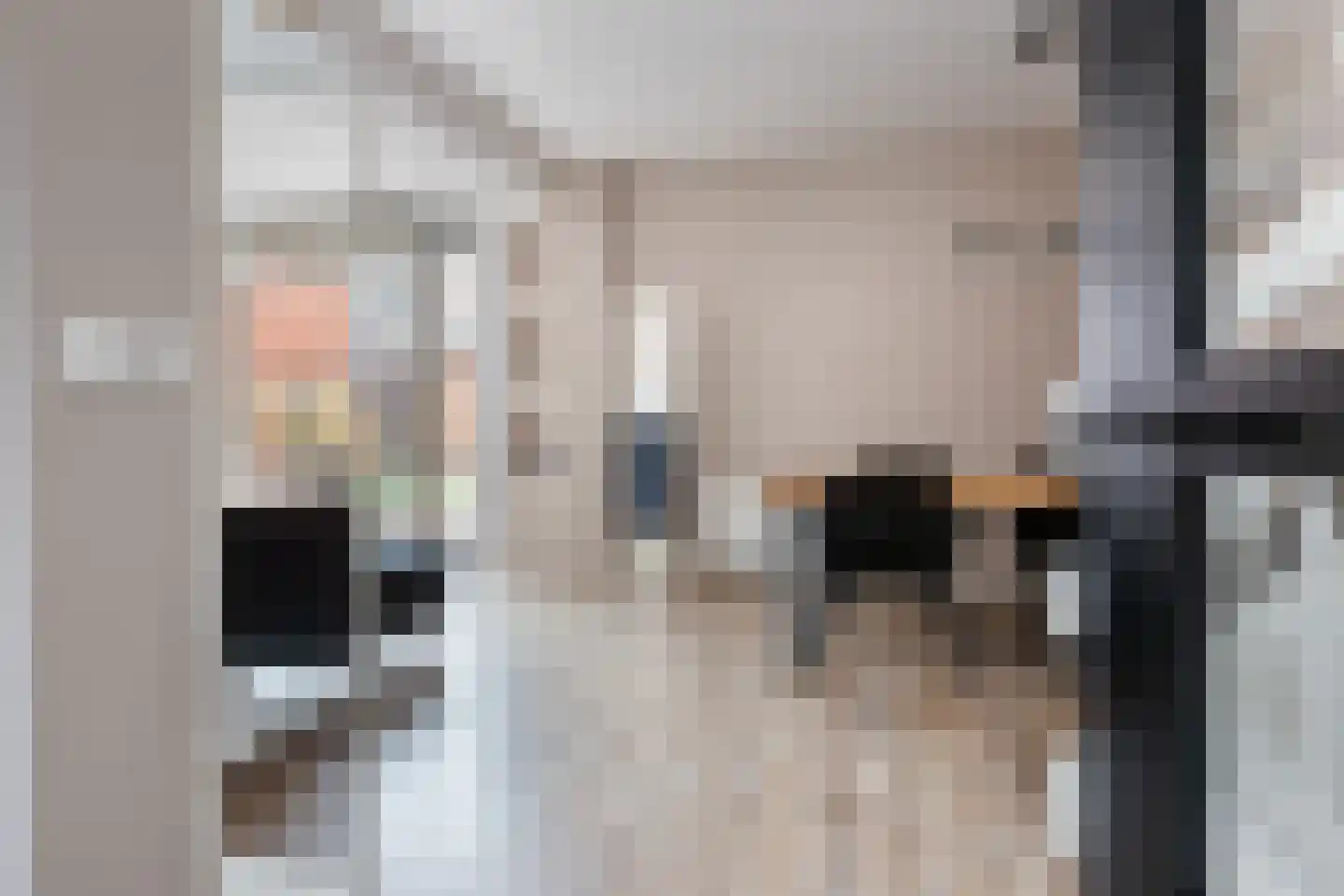 Begoniapad 9 Gouda thumbnail 8