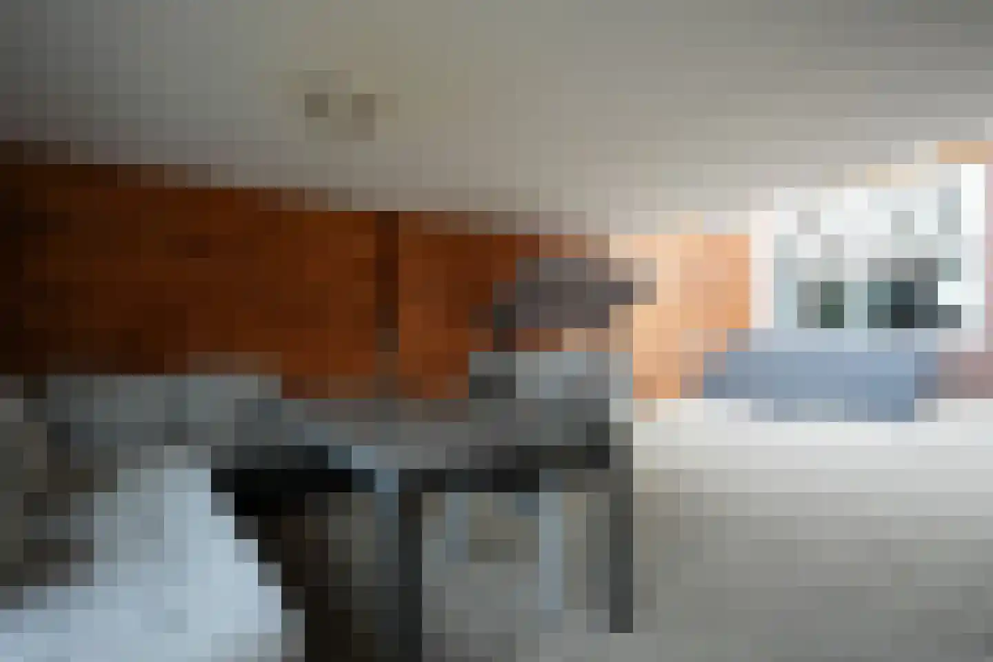 Begoniasingel 33 Geleen thumbnail 23
