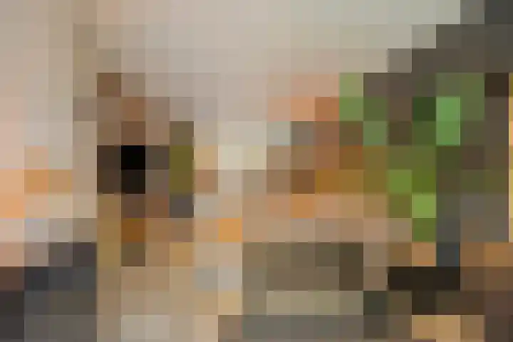 Begoniasingel 82 Geleen thumbnail 11