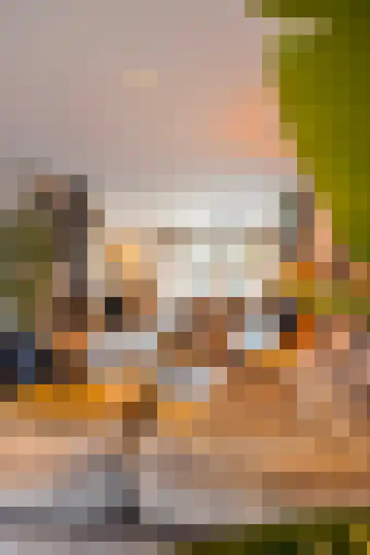 Begoniasingel 82 Geleen thumbnail 13