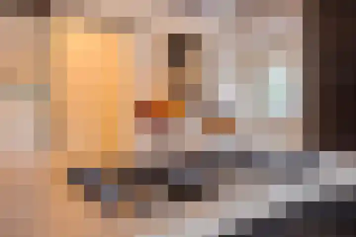Begoniasingel 82 Geleen thumbnail 30