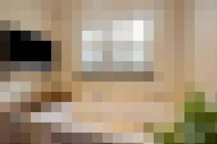 Begoniasingel 82 Geleen thumbnail 35