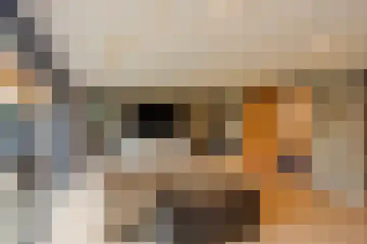 Begoniasingel 82 Geleen thumbnail 49