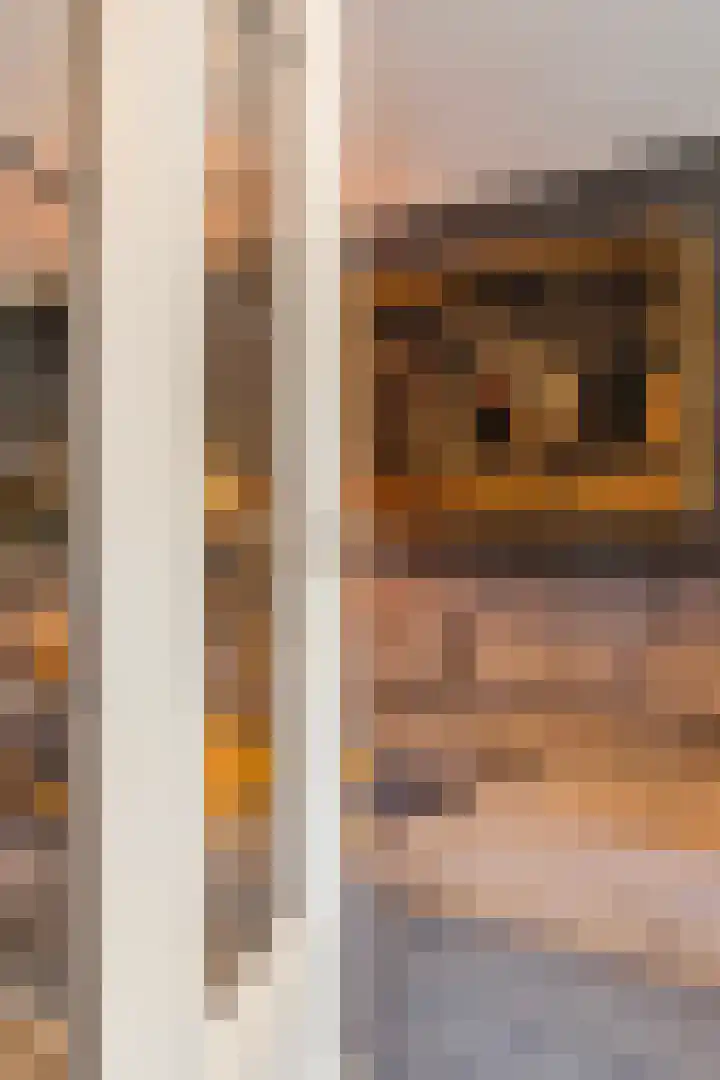 Begoniasingel 82 Geleen thumbnail 8