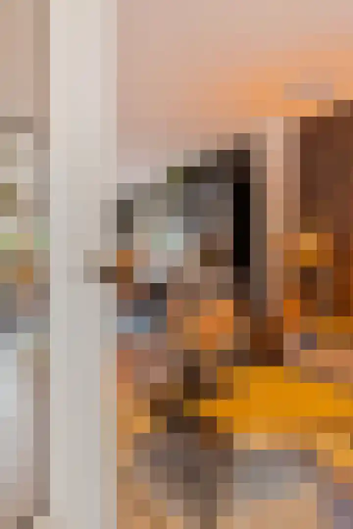 Begoniasingel 82 Geleen thumbnail 9