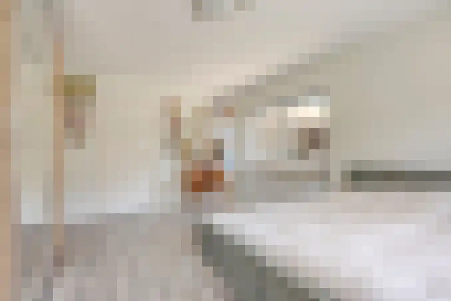 Begoniastraat 1 Beuningen Gld thumbnail 16