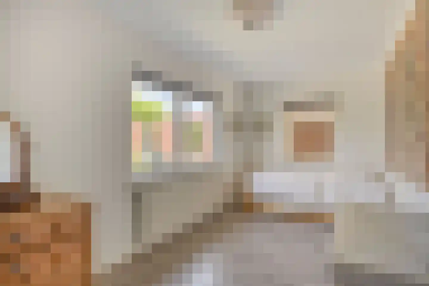 Begoniastraat 1 Beuningen Gld thumbnail 20
