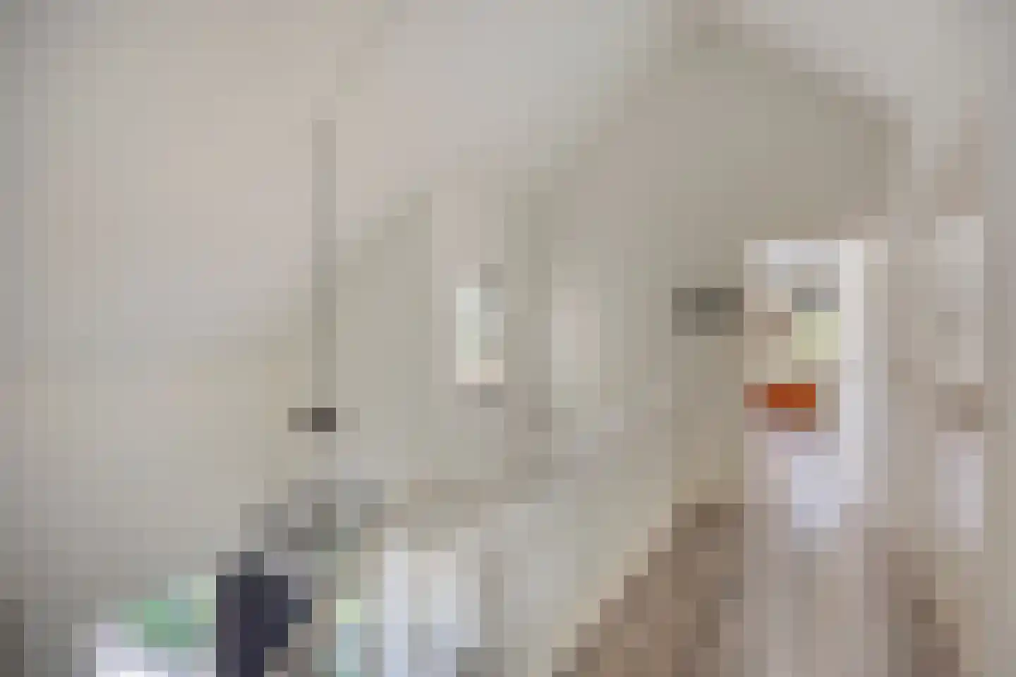 Begoniastraat 1 Beuningen Gld thumbnail 22