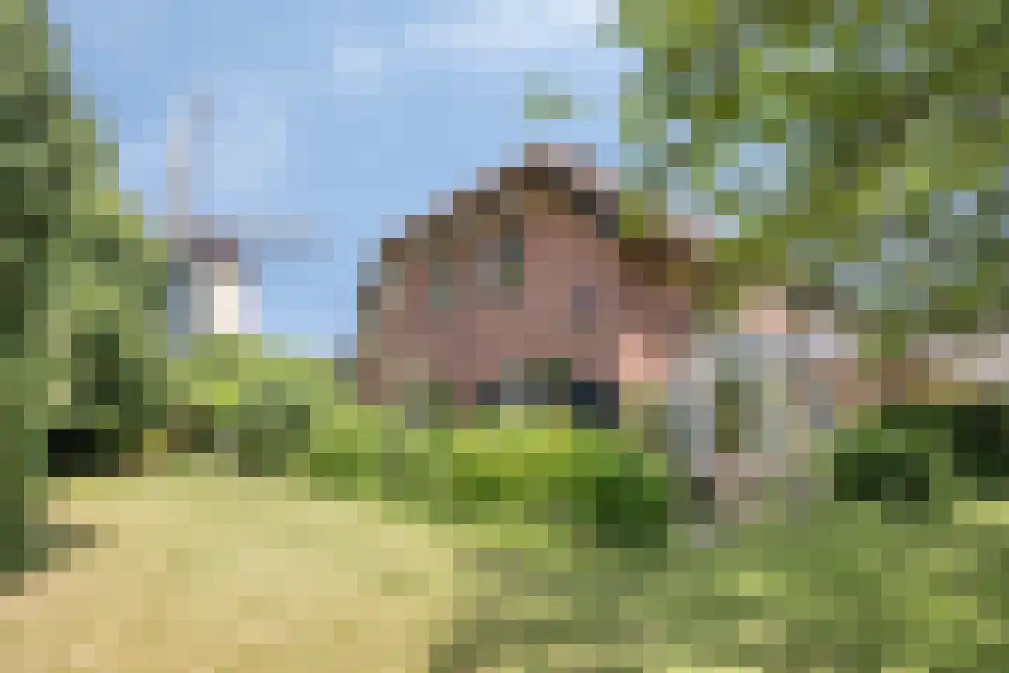 Begoniastraat 1 Beuningen Gld thumbnail 33