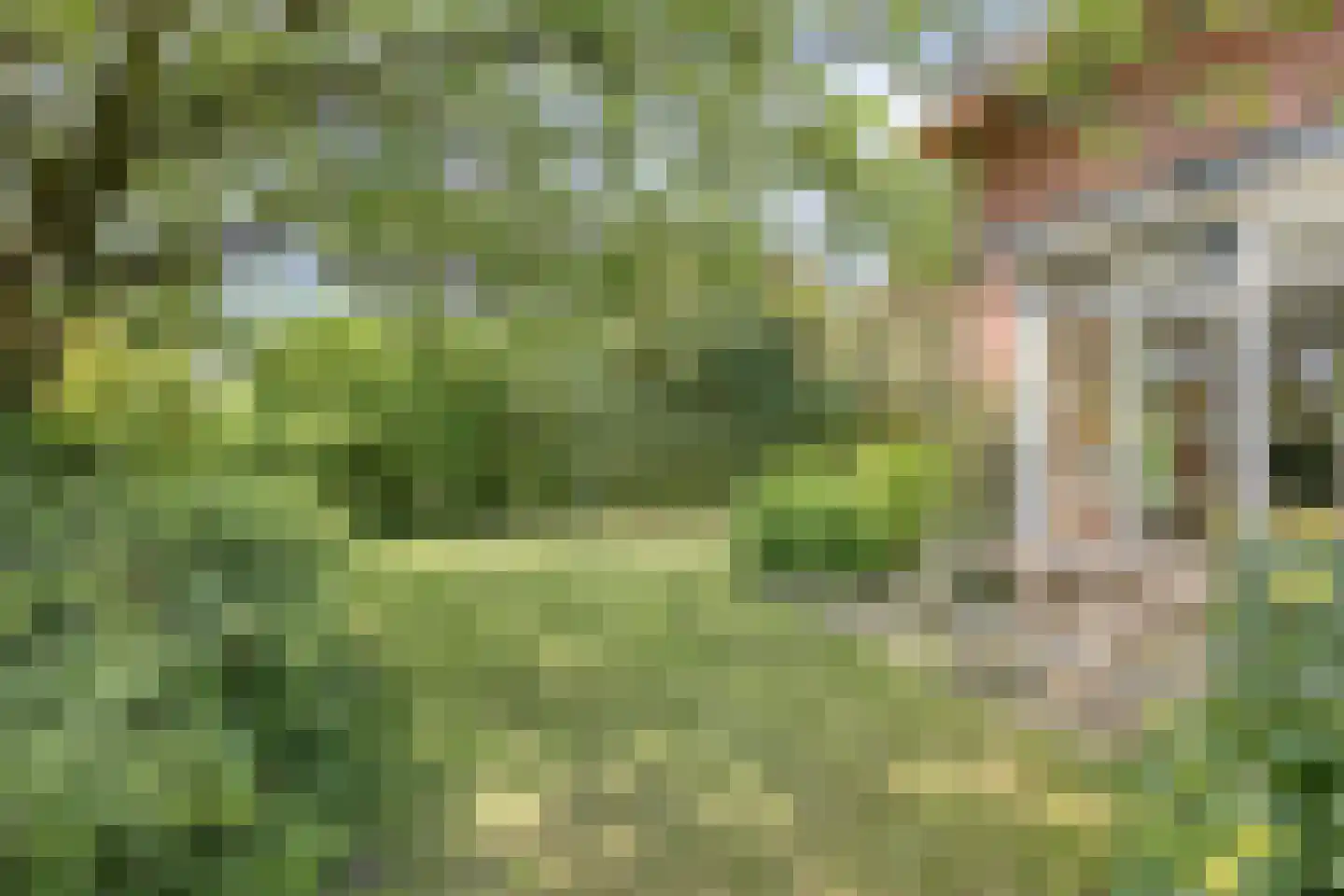Begoniastraat 1 Beuningen Gld thumbnail 34