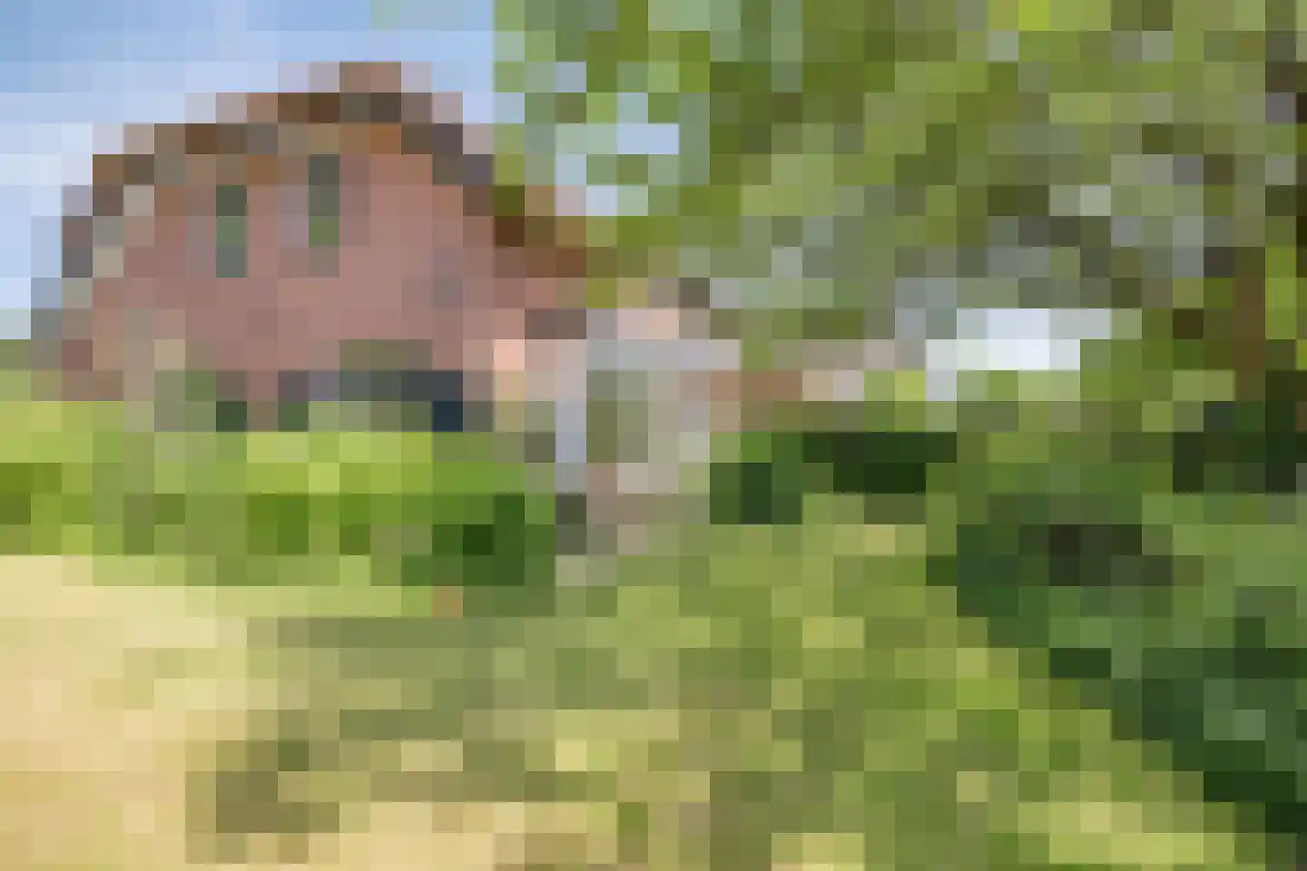 Begoniastraat 1 Beuningen Gld thumbnail 35
