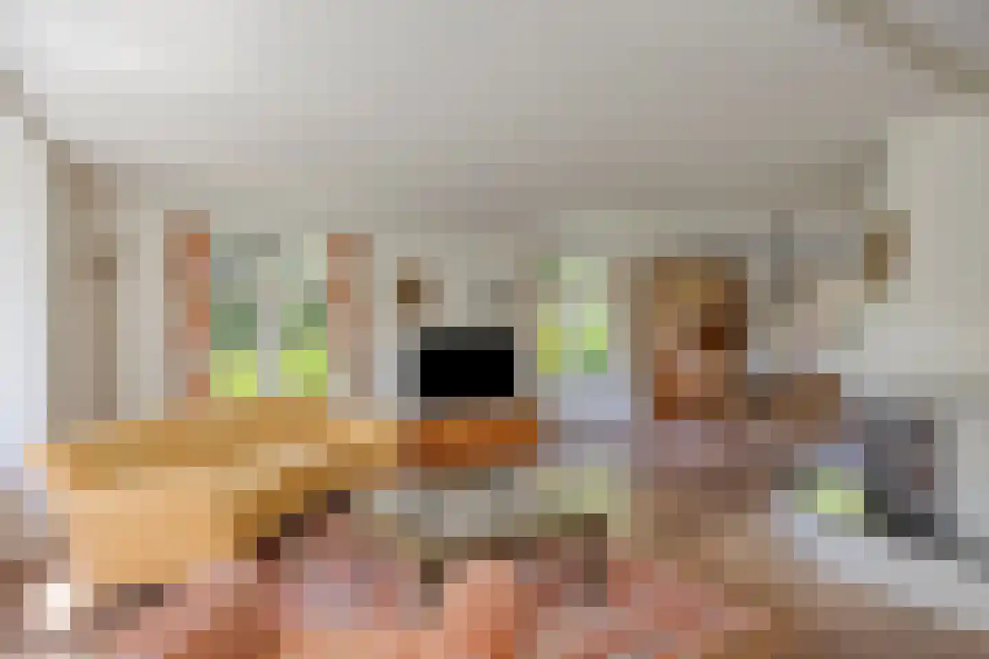 Begoniastraat 1 Beuningen Gld thumbnail 8