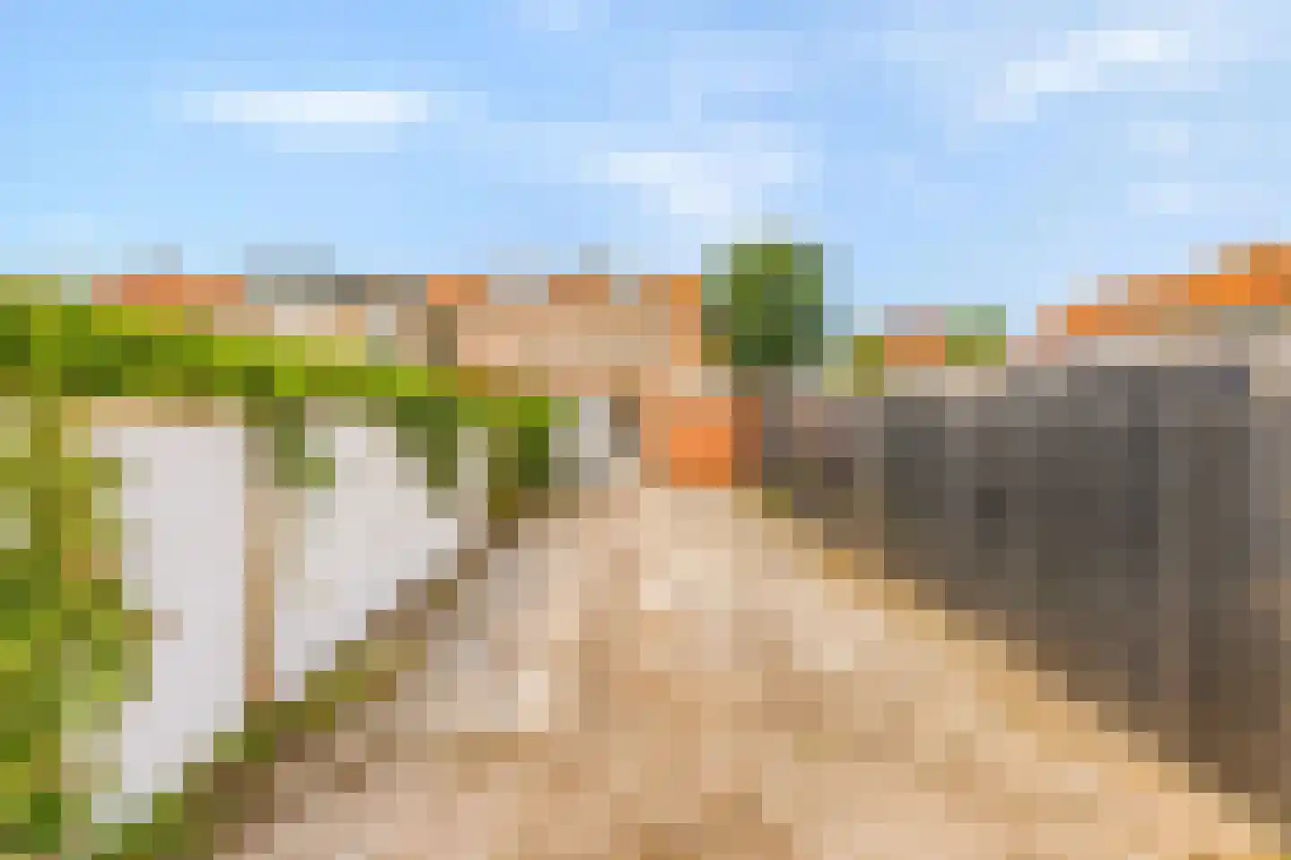 Begoniastraat 1 Den Helder thumbnail 17