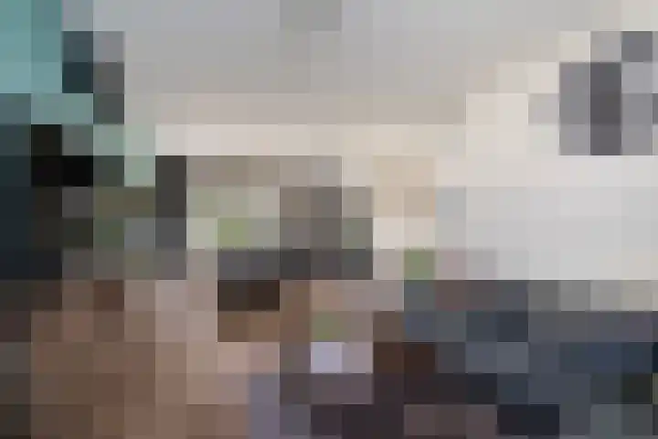 Begoniastraat 1 Vlaardingen thumbnail 12