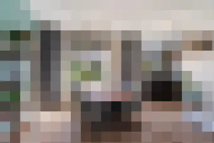 Begoniastraat 1 Vlaardingen thumbnail 13