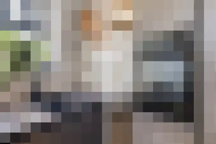 Begoniastraat 1 Vlaardingen thumbnail 17