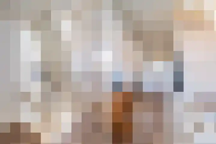 Begoniastraat 1 Vlaardingen thumbnail 20