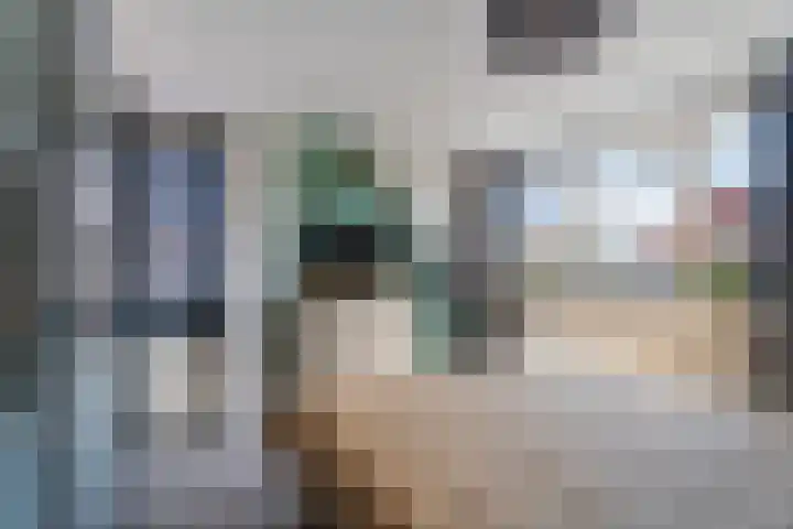 Begoniastraat 1 Vlaardingen thumbnail 21