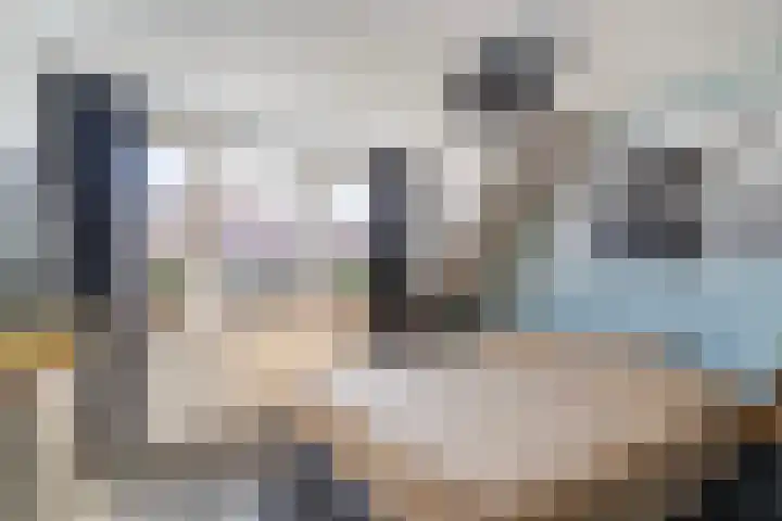 Begoniastraat 1 Vlaardingen thumbnail 22