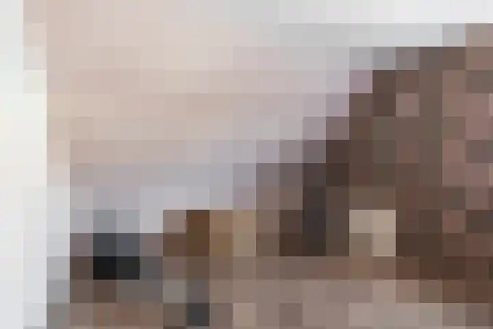 Begoniastraat 1 Vlaardingen thumbnail 24