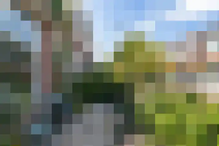 Begoniastraat 1 Vlaardingen thumbnail 30