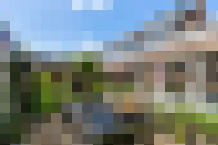 Begoniastraat 1 Vlaardingen thumbnail 31
