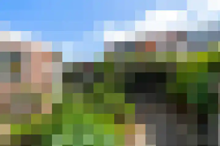Begoniastraat 1 Vlaardingen thumbnail 33