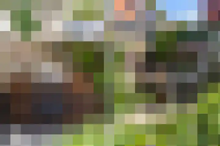 Begoniastraat 1 Vlaardingen thumbnail 34