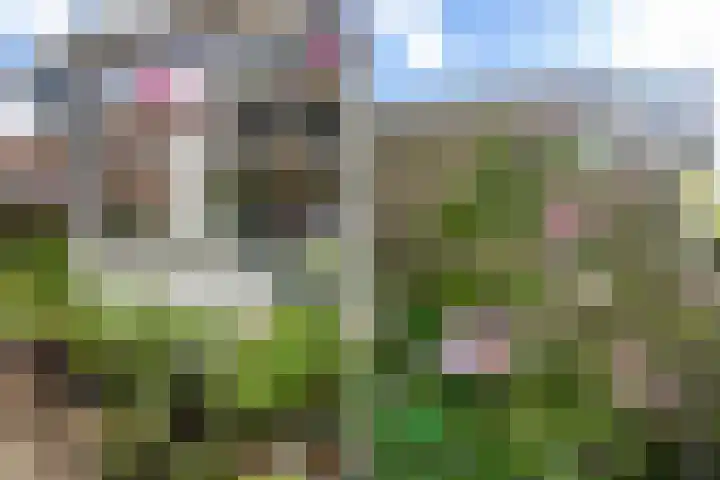 Begoniastraat 1 Vlaardingen thumbnail 36