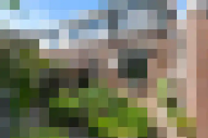 Begoniastraat 1 Vlaardingen thumbnail 7