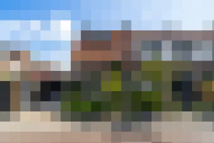 Begoniastraat 1 Vlaardingen thumbnail 8