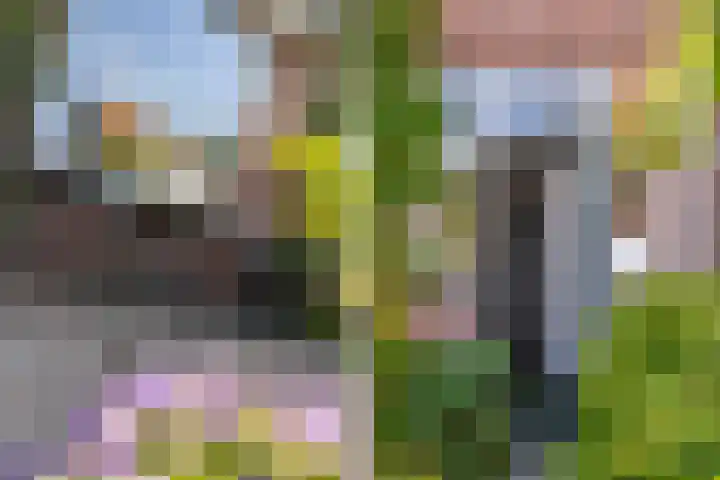 Begoniastraat 1 Vlaardingen thumbnail 9