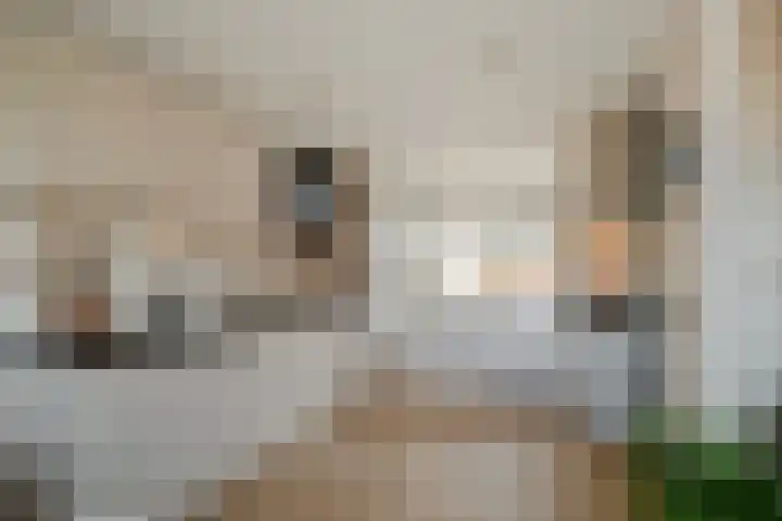 Begoniastraat 10 Losser thumbnail 10