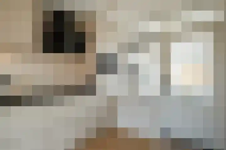 Begoniastraat 10 Losser thumbnail 11