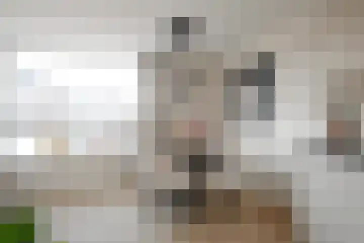 Begoniastraat 10 Losser thumbnail 13