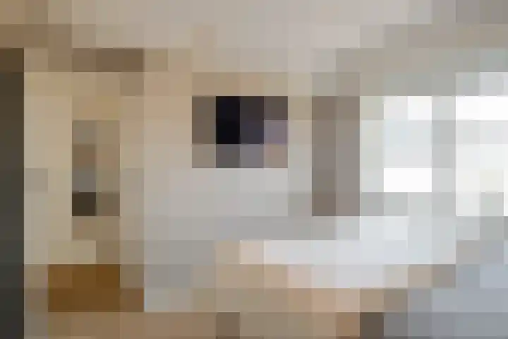 Begoniastraat 10 Losser thumbnail 17