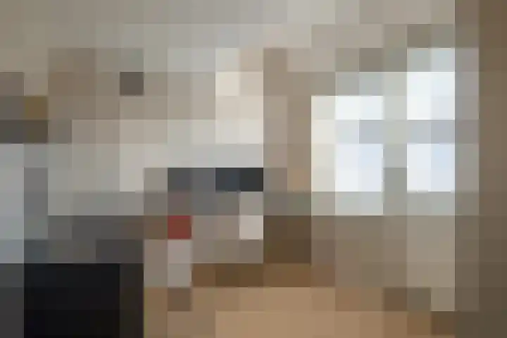 Begoniastraat 10 Losser thumbnail 18