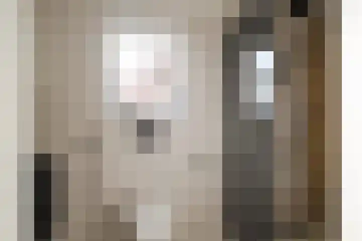 Begoniastraat 10 Losser thumbnail 22