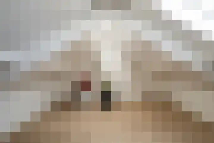 Begoniastraat 10 Losser thumbnail 24