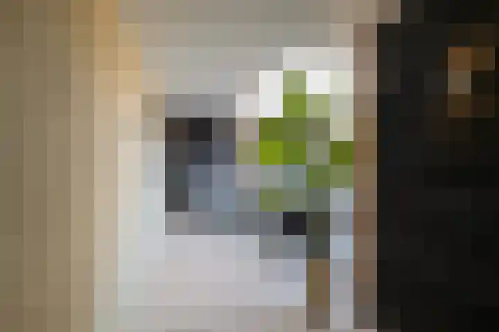 Begoniastraat 10 Losser thumbnail 27